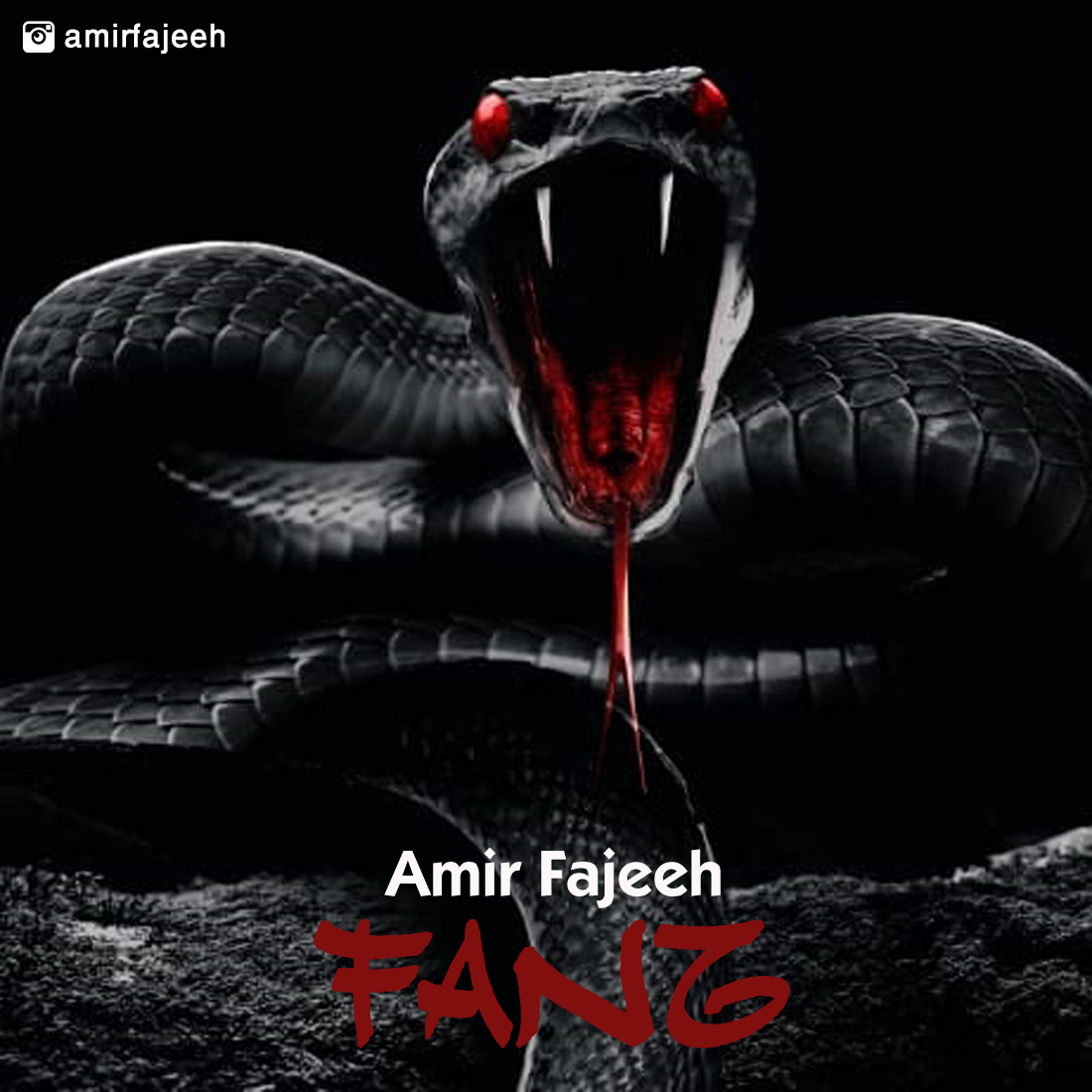 Amir Fajeeh – Fang