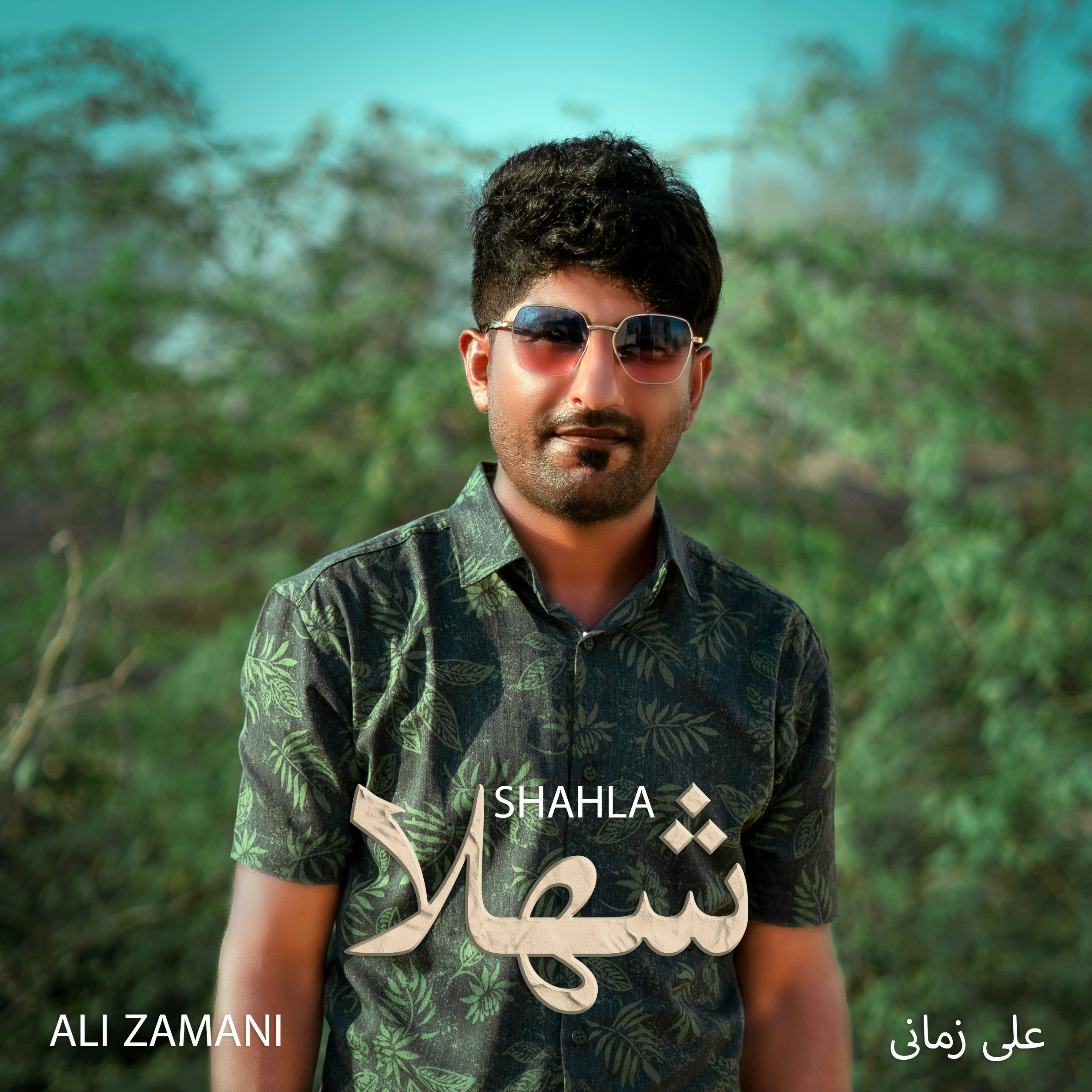 Ali Zamani – Shahla